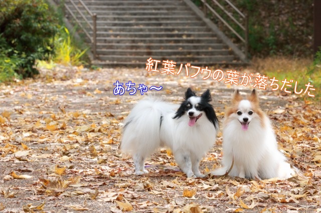 2P3A5582.jpg