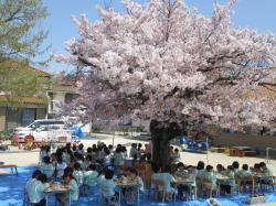 お花見給食