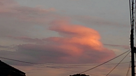 ウサギ夕焼け雲