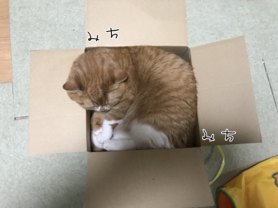 20180722-220158-01.jpg