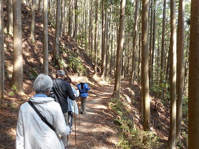 熊野古道ガイドと歩く（H30,4)