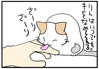 name0_20180710204654193.jpg