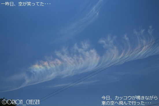 彩雲の出た空