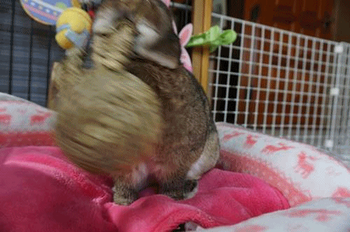 18040604.gif
